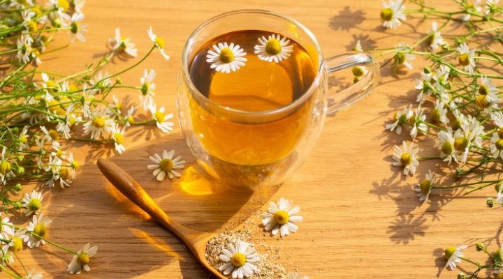 Hortelã: Um Frescor que Desobstrui e Acalma - inspiração 2