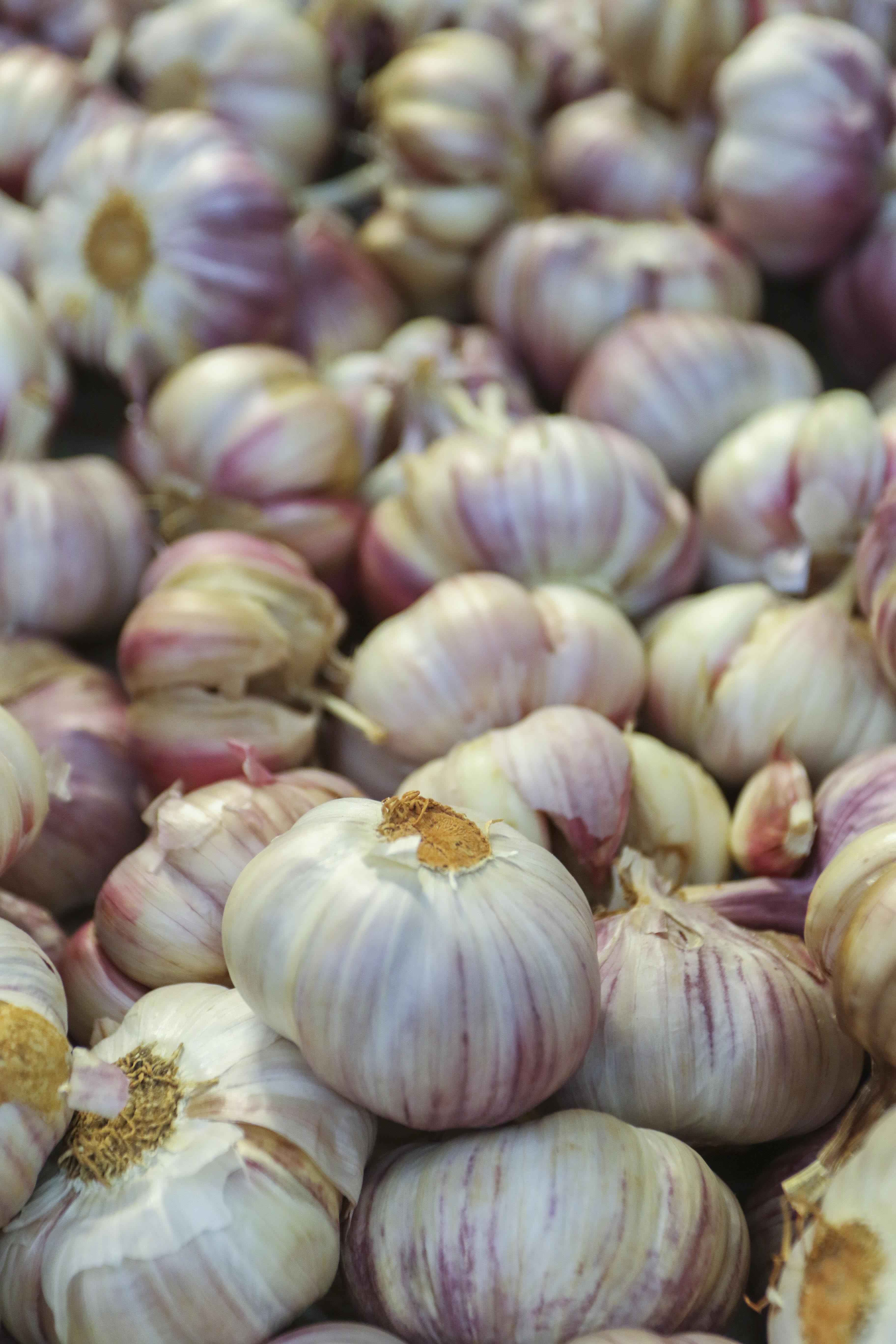 Equinácea: Fortalecendo suas Defesas - inspiração 2