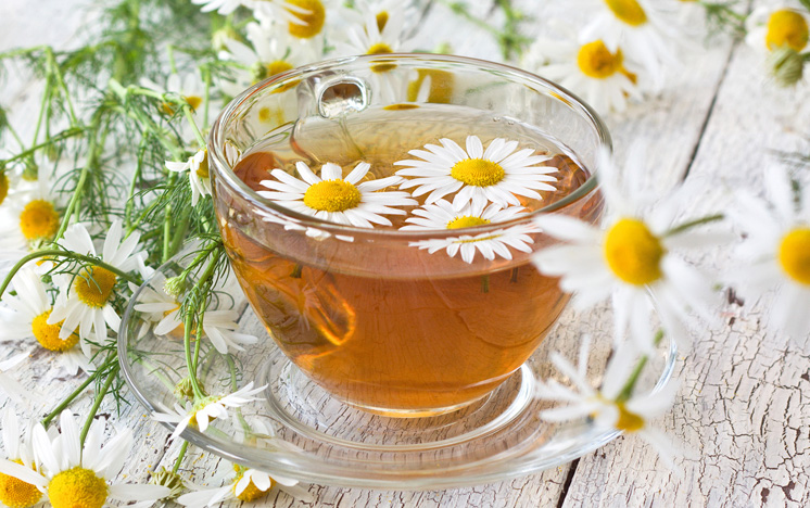 Preparo Perfeito: Dicas para Extrair o Máximo dos Seus Chás - inspiração 1