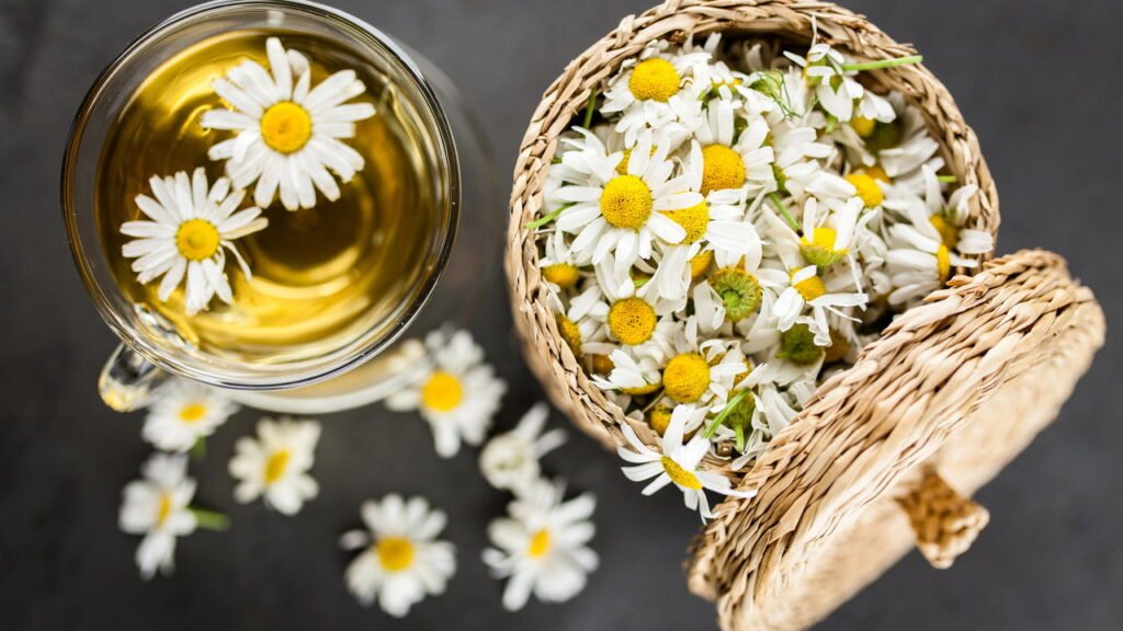 Urtiga: Um Desconhecido com Grande Potencial Antialérgico - inspiração 1