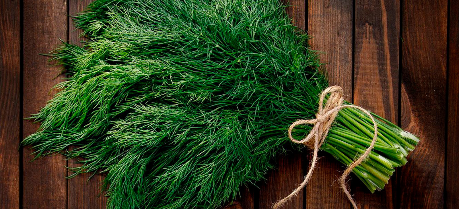 Ervas Vermelhas para Fortalecer o Corpo - inspiração 1