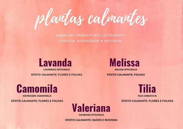 Kava-Kava: Uma Opção Mais Forte Para Momentos Críticos - inspiração 1