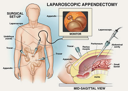 Como os Chás Podem Apoiar Seu Corpo em Processos de Recuperação (com orientação médica) - inspiração 2