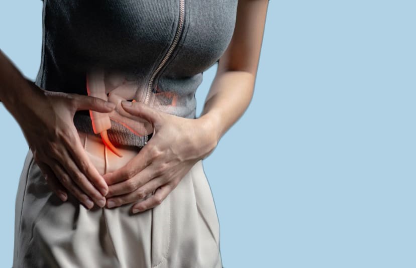 Ervas que Podem Ajudar na Digestão, Mas Não Curam Apendicite - inspiração 2