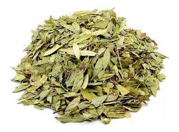 Prevenção de Problemas Digestivos: Dicas para uma Vida Mais Saudável - inspiração 1