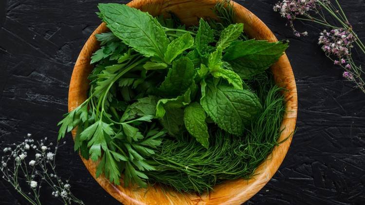 Chá de Uvaia: Uma Opção Menos Conhecida, Mas Eficaz - inspiração 2