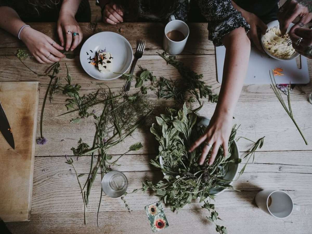 Urtiga: nutrição e purificação com um toque brasileiro - inspiração 1