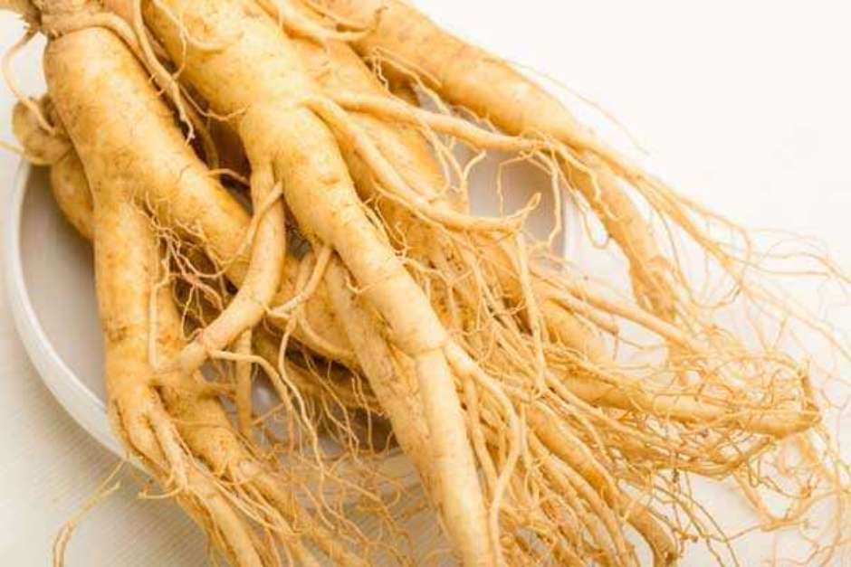 Ginseng: Energia e Resistência para o Prazer - inspiração 2