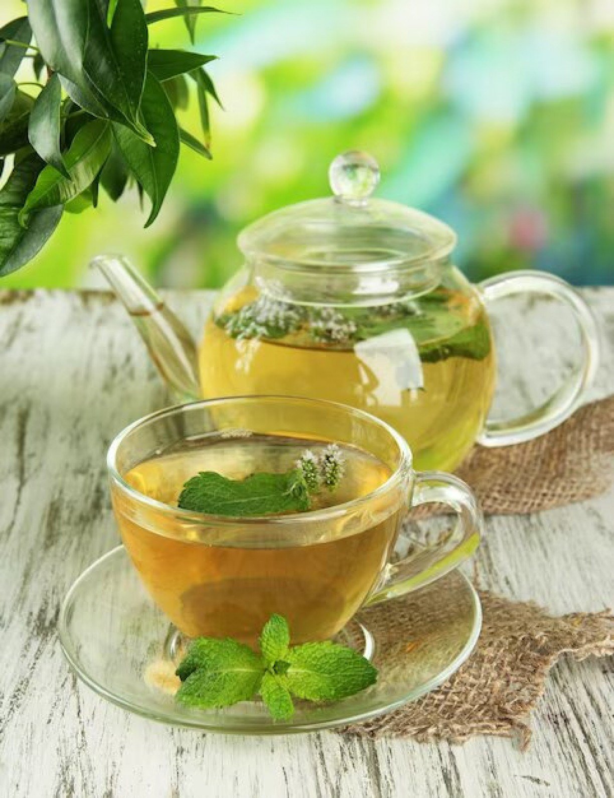 Chá de Canela: Regulação Glicêmica e Lipídica - inspiração 2