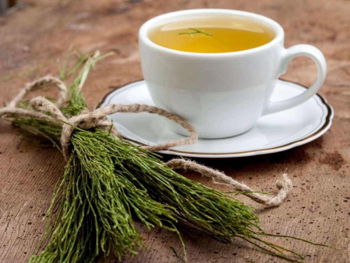 Chá de Cavalinha: Diurético Natural e Gentil - inspiração 2