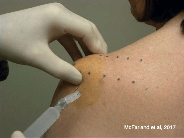 Chá de Camomila: Para Relaxar e Reduzir a Inflamação - inspiração 2