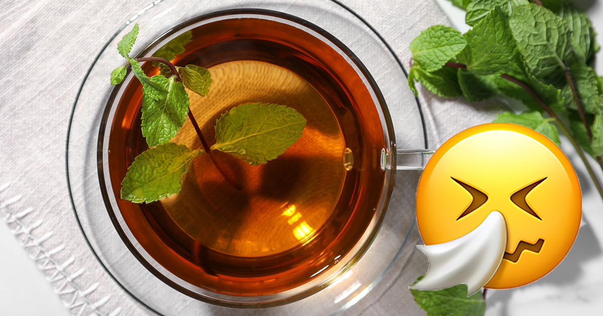 Capim-limão: relaxamento e bem-estar para um respiro mais leve - inspiração 1