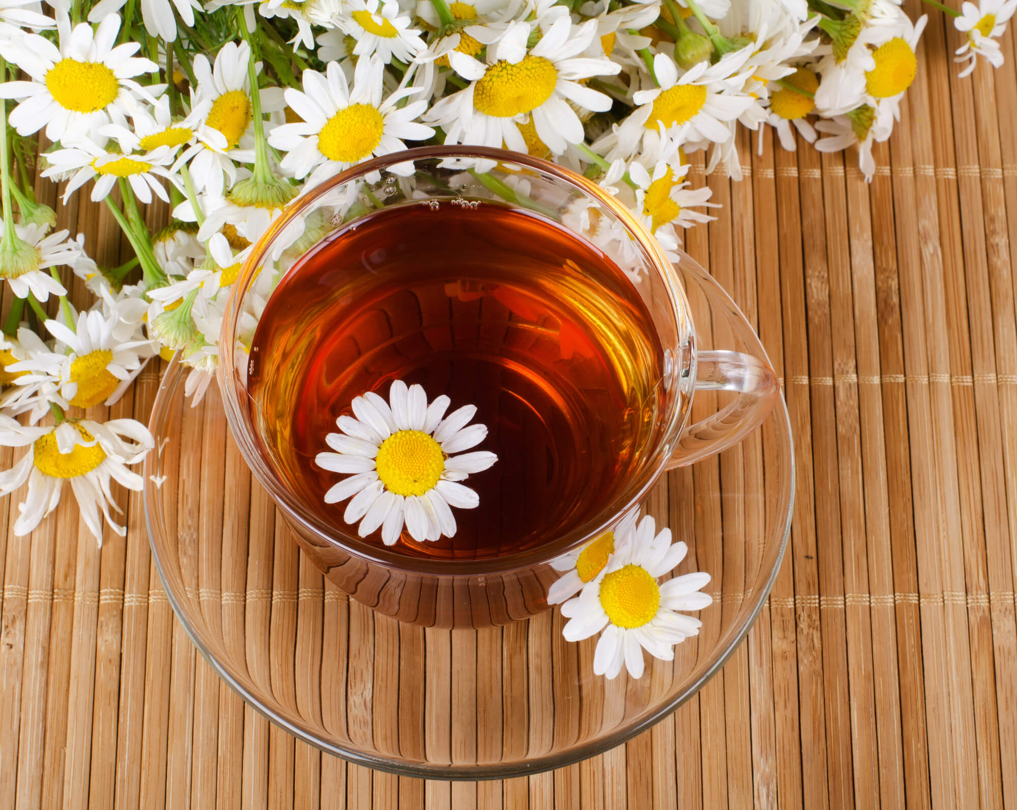 Erva-doce: para acalmar tosses secas e irritativas - inspiração 2