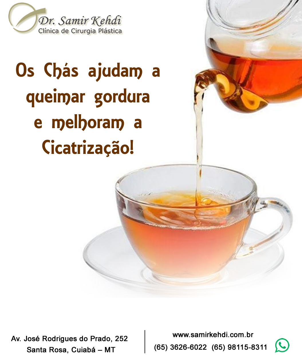 Centella Asiática: Estímulo Direto na Produção de Colágeno - inspiração 2