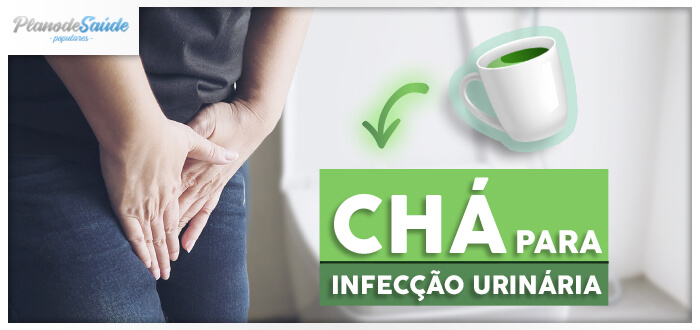 Erva-cidreira: Relaxamento e Conforto Instantâneos - inspiração 2