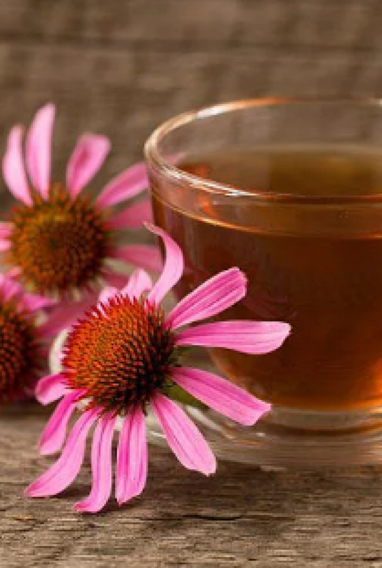 Sálvia: Um Antisséptico Natural para Combater a Coceira - inspiração 1