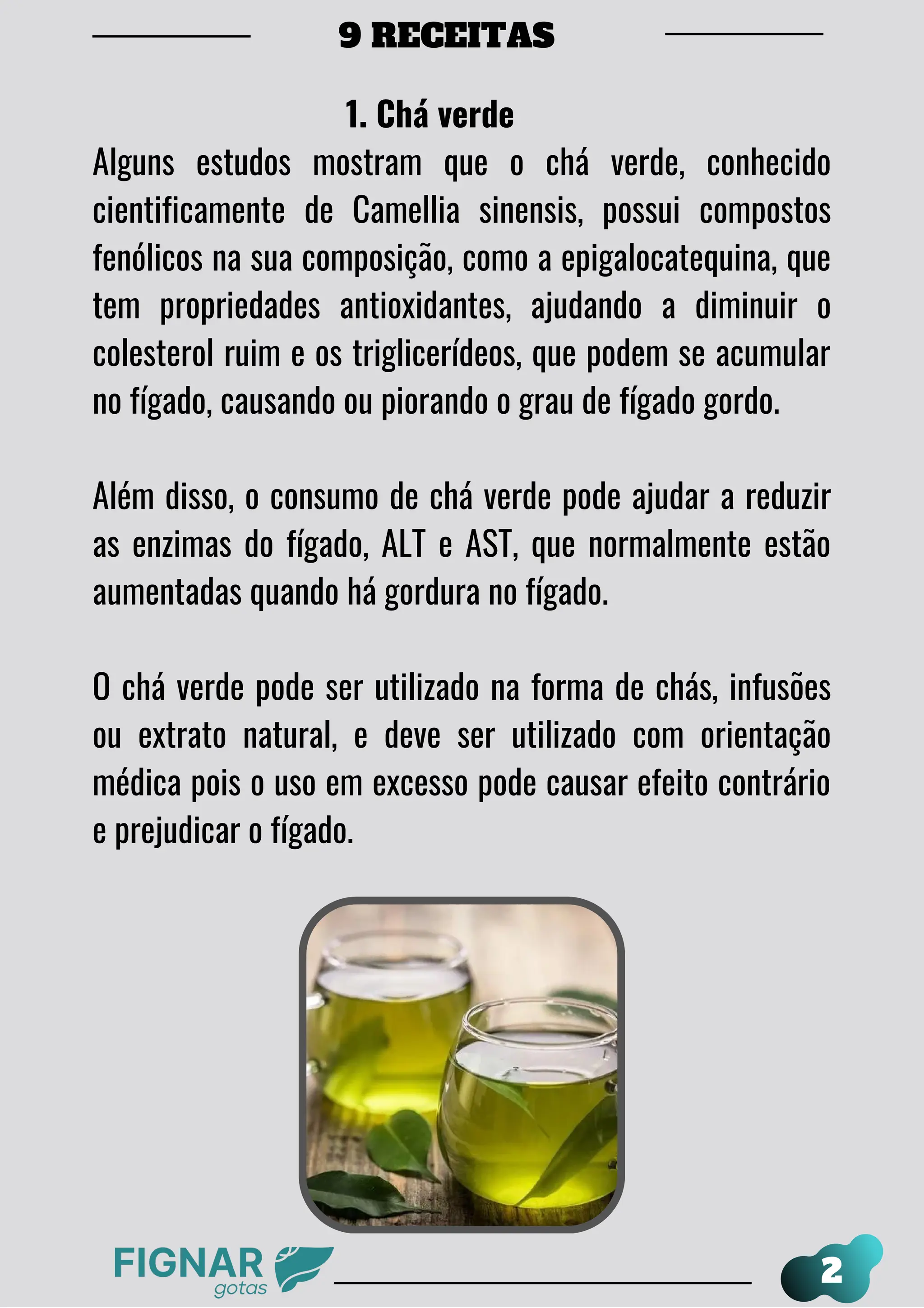 Alho: um potente aliado contra o colesterol - inspiração 2