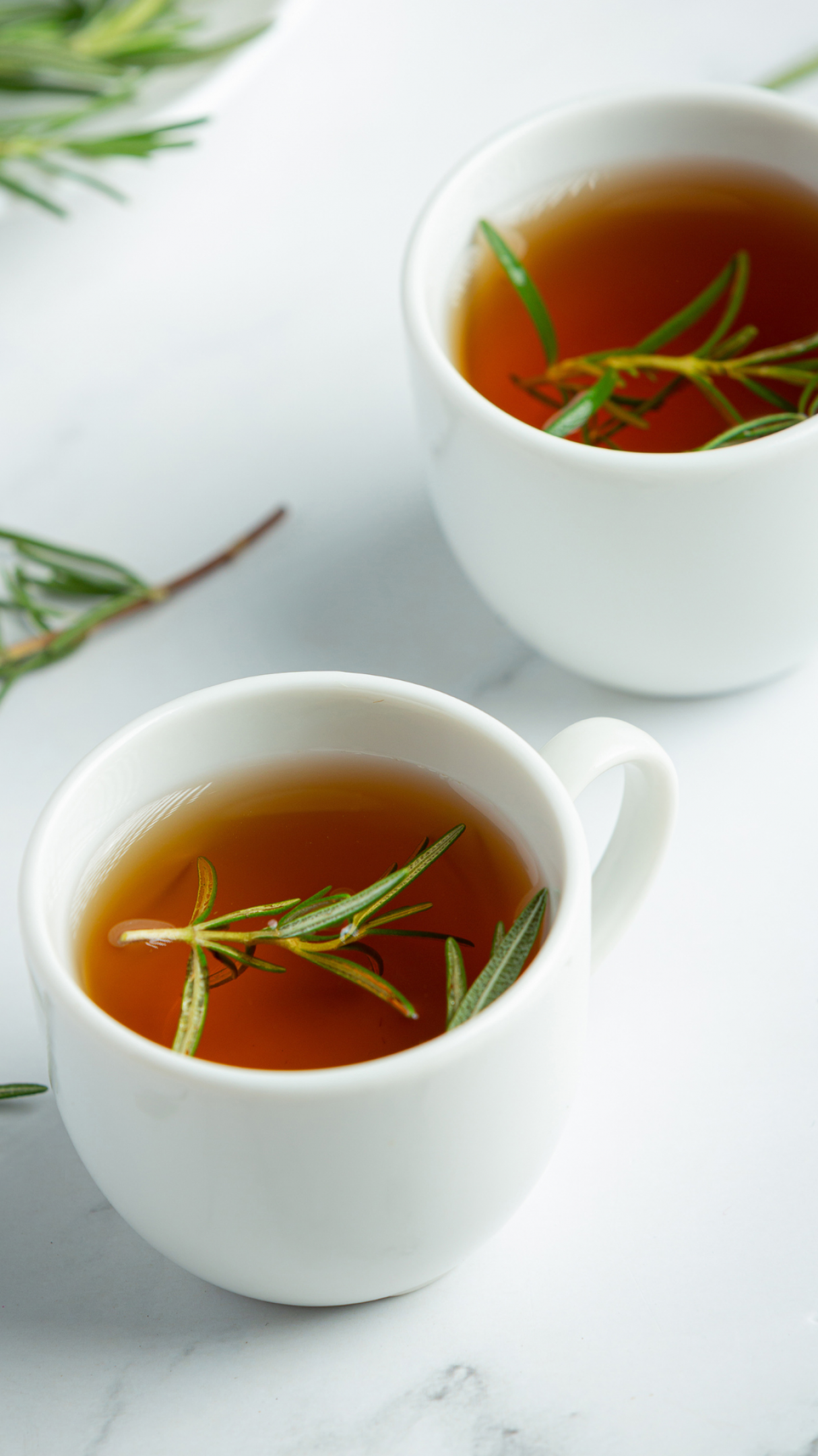 Chá de Boldo: Um Antigo Aliado Para a Digestão - inspiração 1