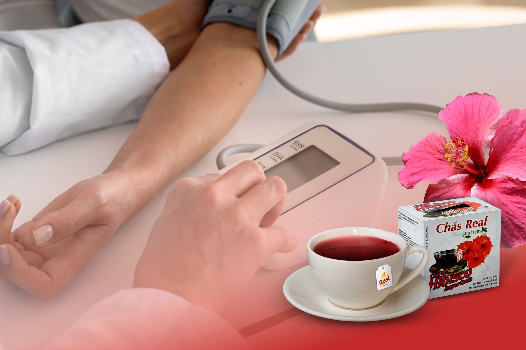 Erva-cidreira: Refrescância que acalma e equilibra - inspiração 1