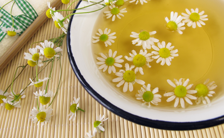 Guaritan: Tradição e Eficácia no Cuidado Feminino - inspiração 1