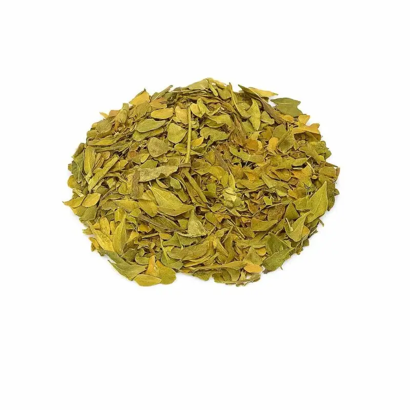 Alecrim: Estimulante e Descongestionante Natural - inspiração 1