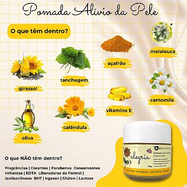 Camomila: O Poder Calmante Que Você Precisa Saber - inspiração 2