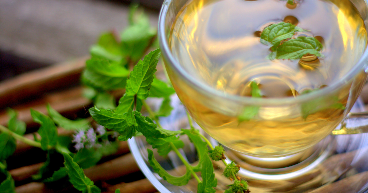 Chá de Camomila: Calmante Natural para o Estresse Hepático - inspiração 2