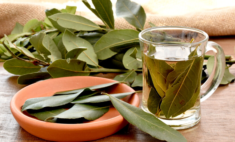 Chá de Semente de Funcho (Erva-doce): Bom para Digestão e Gases - inspiração 2