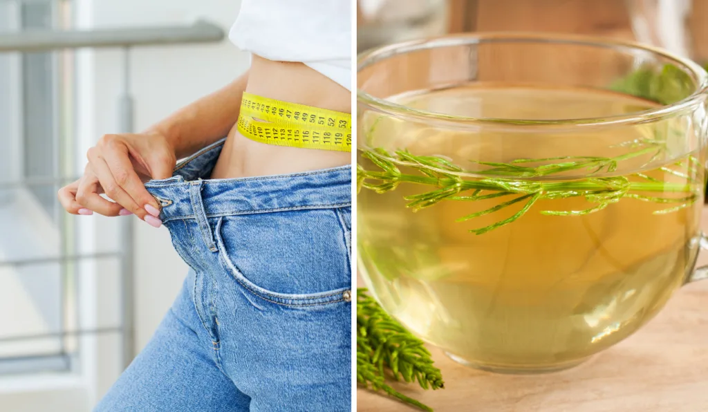 Chá de Melissa e Camomila: Relaxamento e Bem-Estar para Auxiliar na Rotina - inspiração 1