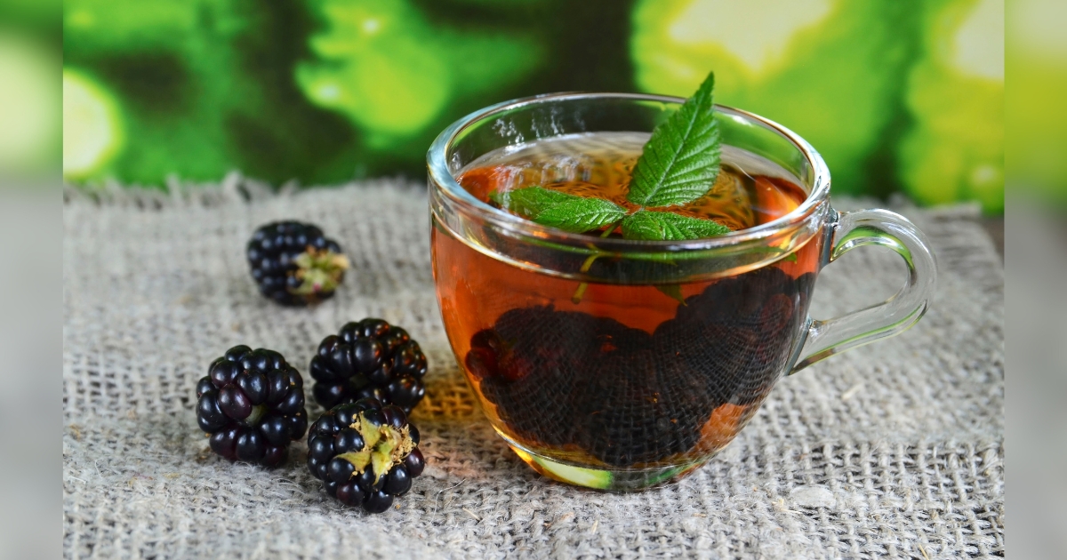 Gengibre: O Aliado Quente Contra a Inflamação - inspiração 1