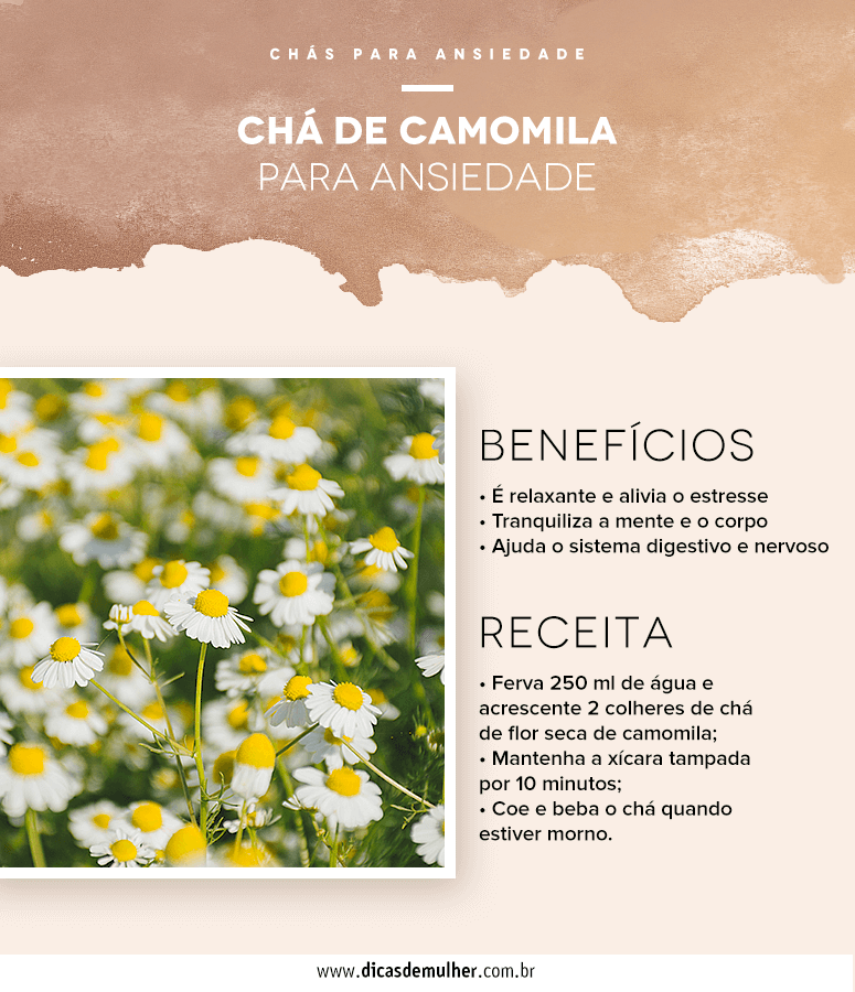 Lavanda: O Aroma Que Traz Paz e Tranquilidade - inspiração 1