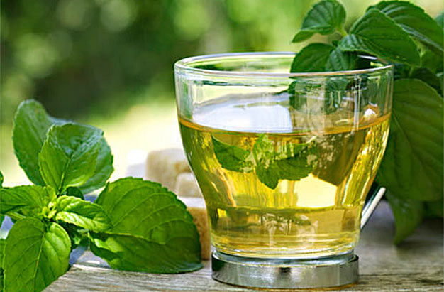 Gengibre: Estímulo Para a Circulação e Ação Anti-inflamatória - inspiração 1