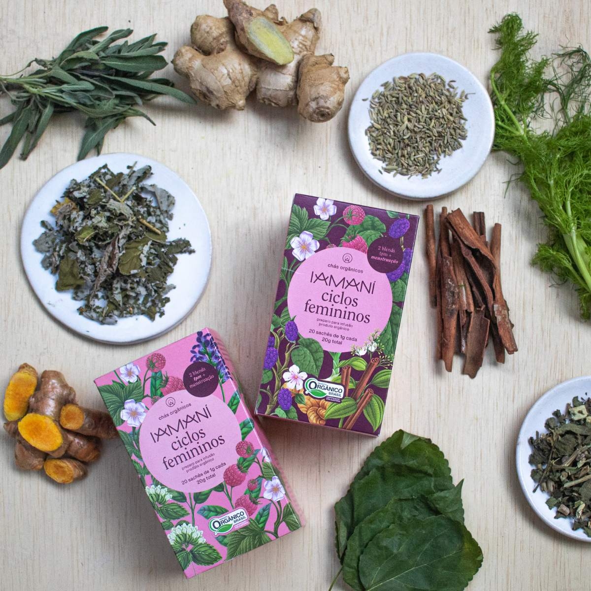 Erva-cidreira: Doçura e Tranquilidade para o Corpo - inspiração 2