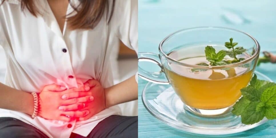 A Importância da Preparação Correta do Chá - inspiração 2