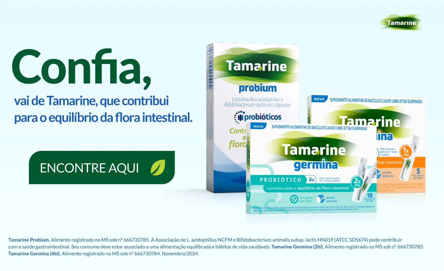 Chá de Gengibre: Ação Anti-inflamatória e Digestiva - inspiração 1