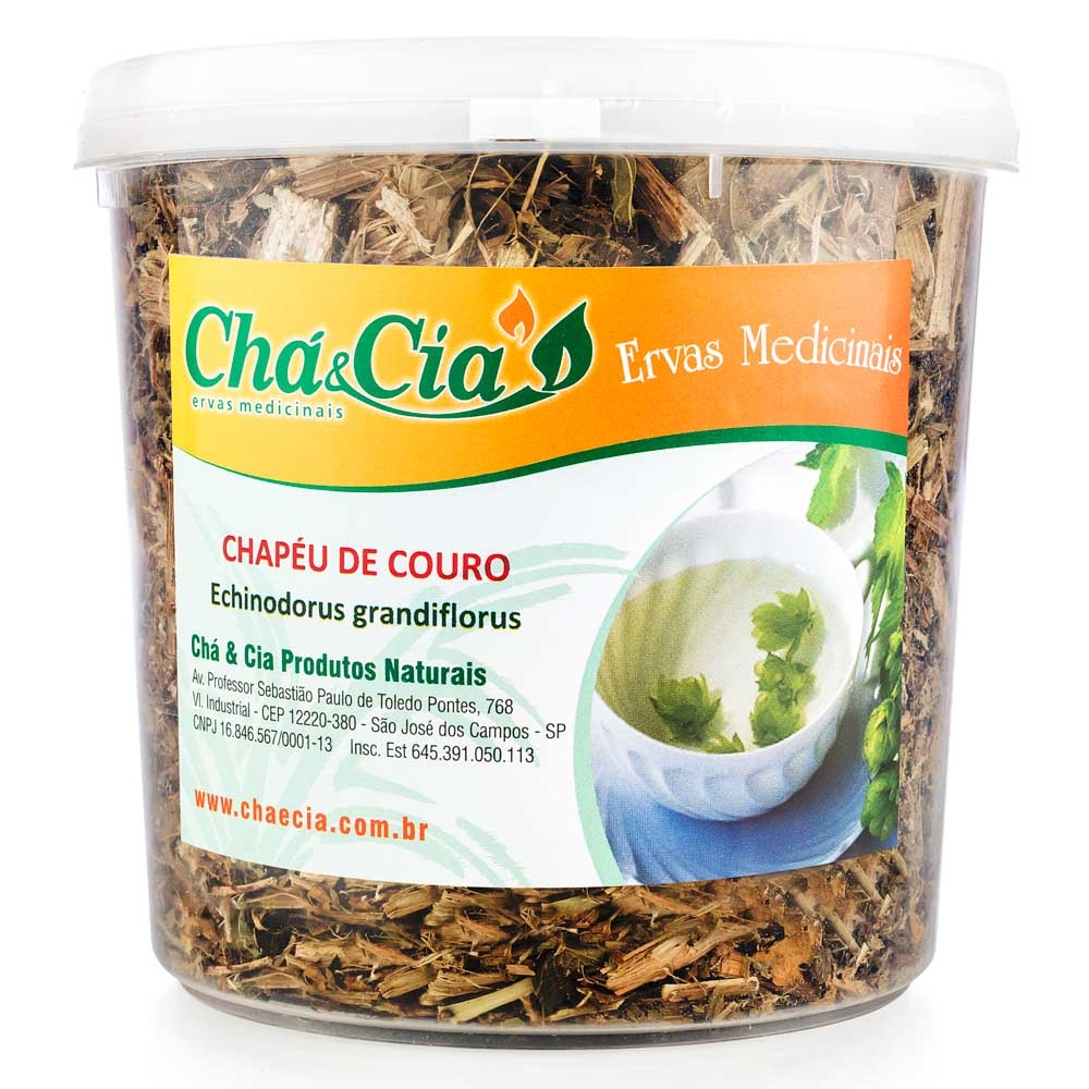 Chá de Cranberry: Prevenção e Tratamento Eficaz - inspiração 2