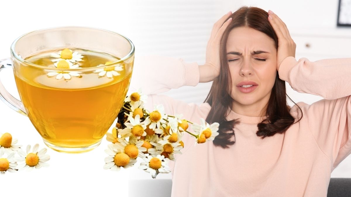 Eucalipto: Respirando Aliviada com Seu Aroma Intenso - inspiração 2