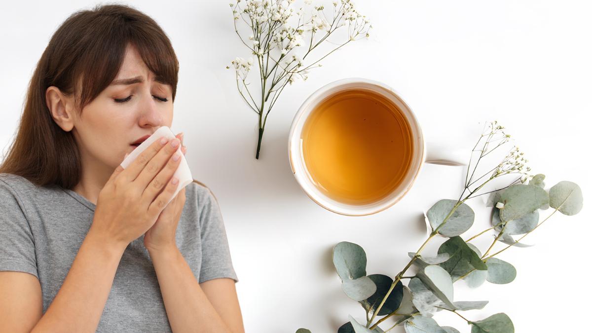 Equinácea: Reforçando suas Defesas Naturais - inspiração 1