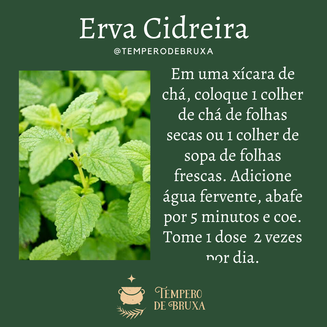 Sabugueiro: Alívio para Nariz e Garganta - inspiração 1