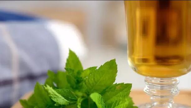 Infusão de Equinácea e Sabugueiro: Defesa Imunológica Extra - inspiração 1