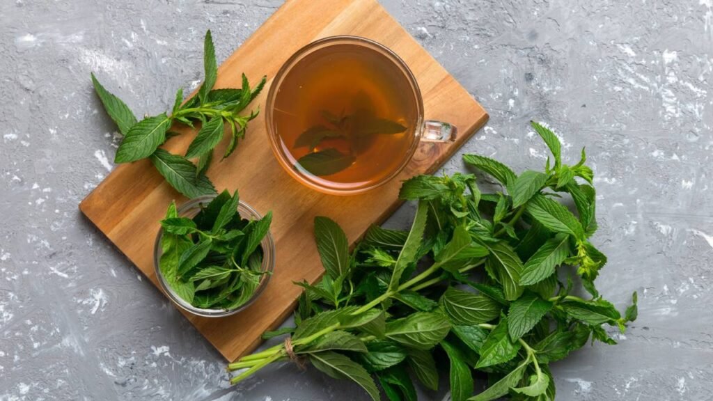 Melissa: O Chá Que Acalma a Mente e o Corpo - inspiração 1