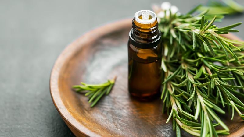 Fortalecimento Imunológico: Ajuda indireta contra inflamações - inspiração 2