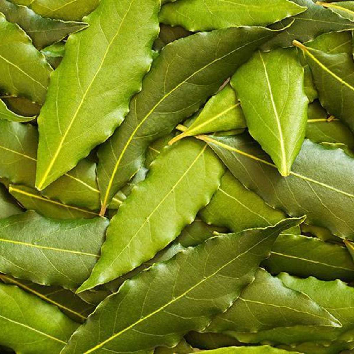 Hidratação e Nutrição: Essenciais para a Saúde da Coluna - inspiração 2