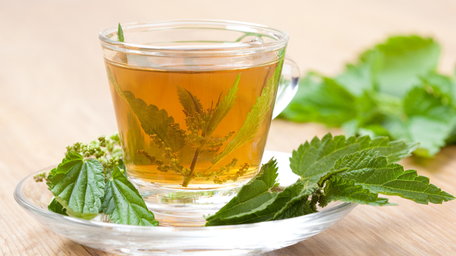 Chá de Camomila: Calmante e Anti-inflamatório Suave - inspiração 2