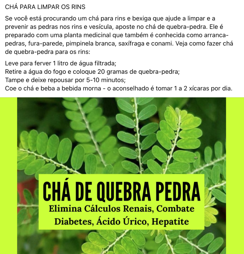 Chá de Cavalinha: Riqueza em Silício para Regeneração Renal - inspiração 1