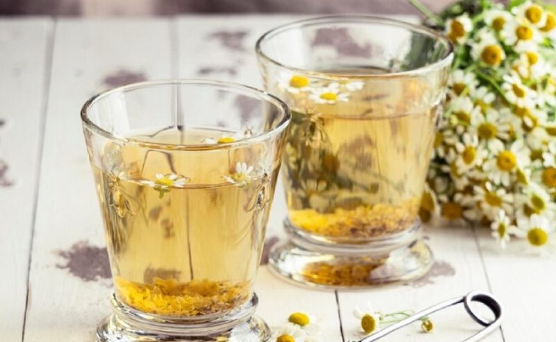 Arnica: O Remédio Popular em Infusão para Contusões - inspiração 1