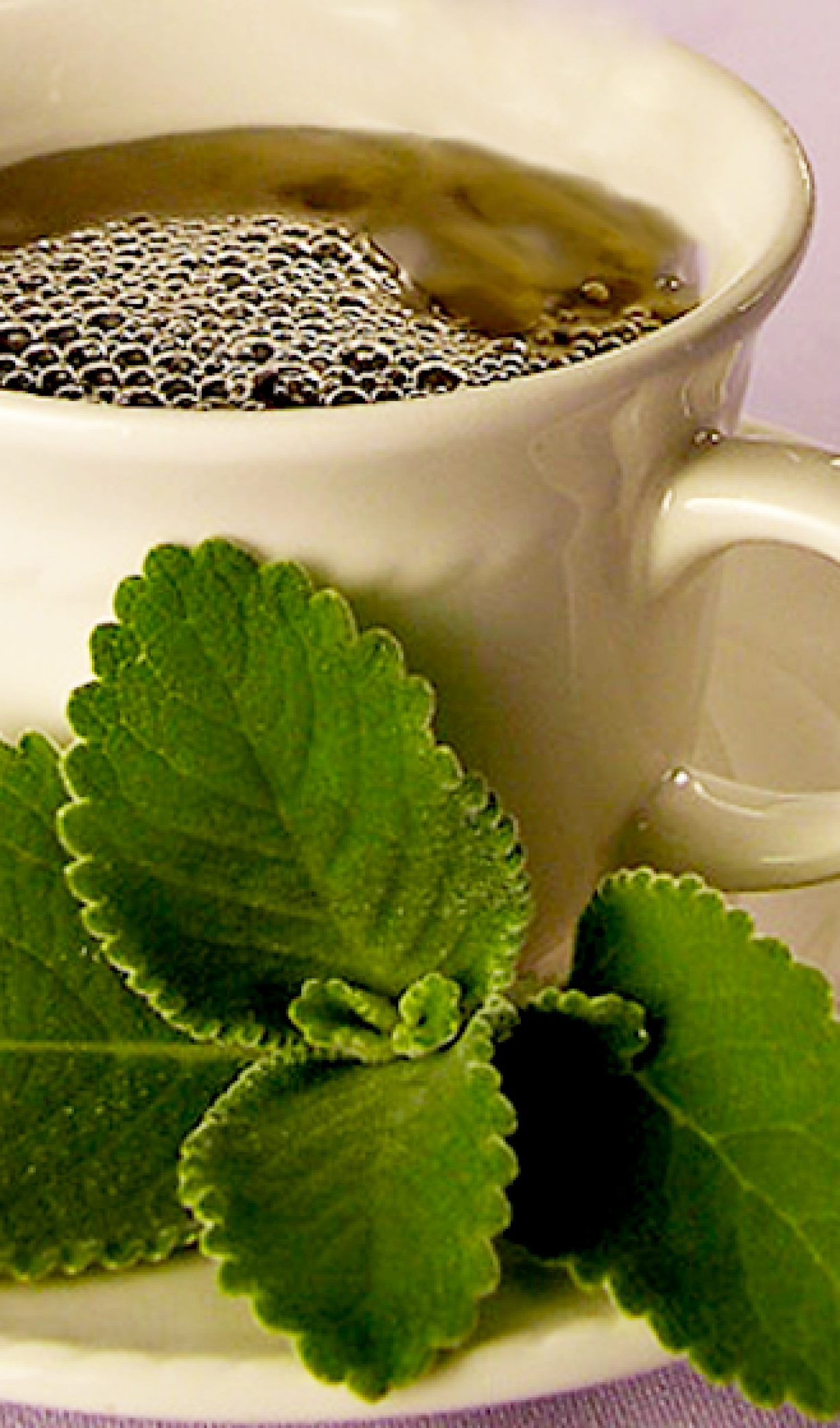 Alcaçuz: Doçura que Alivia e Descongestiona - inspiração 1