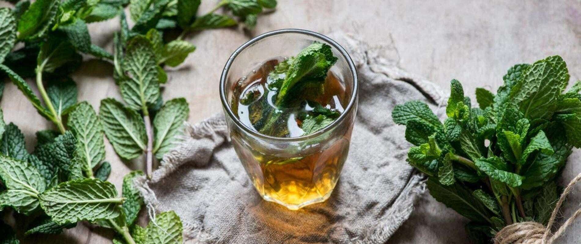 Chá de Boldo: Tradicionalmente Usado para Questões Digestivas - inspiração 2