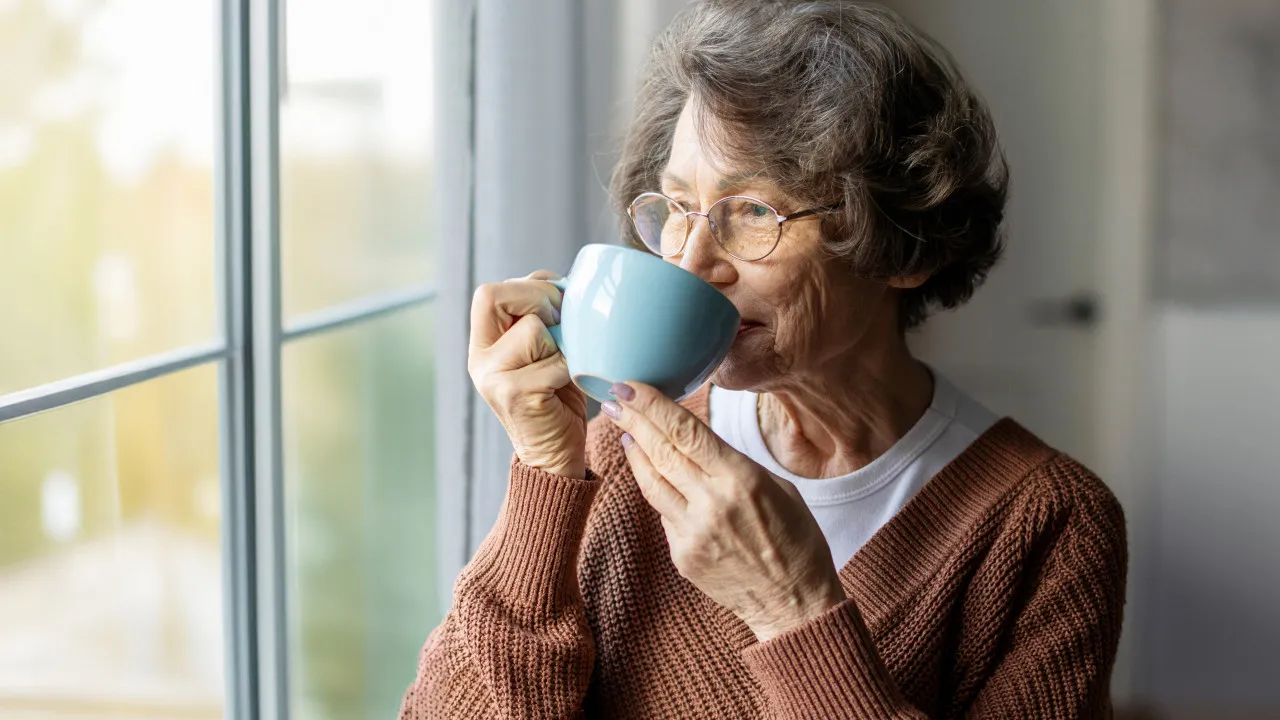 Chá de Sálvia: Propriedades Antissépticas para o Bem-Estar Geral - inspiração 1