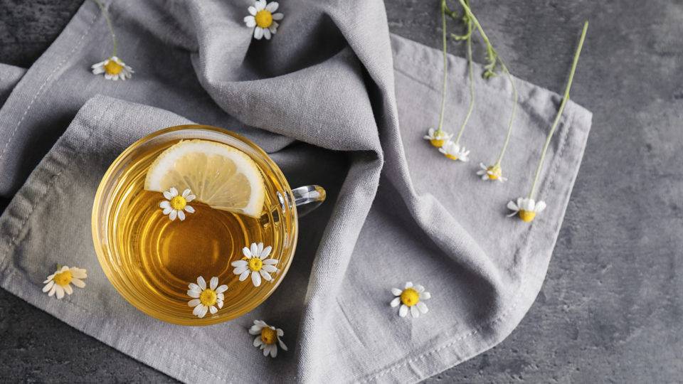 Chá de Alecrim: Circulação e Ação Antioxidante em uma Única Infusão - inspiração 2